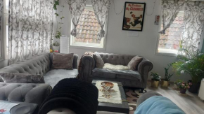 Entire Apartment in stavanger sentrum